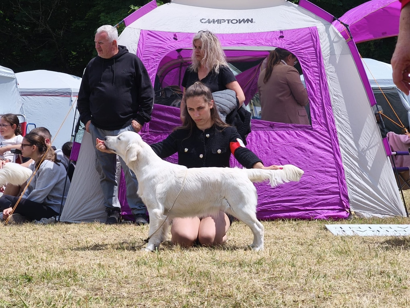 Viens on s'aime Ligne D'or